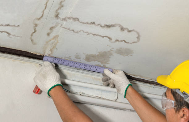 Reliable Burst Pipe Cleanup contractor in Arvada, CO by Water Damage Irwin